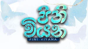Pini Viyana - 31-07-2026