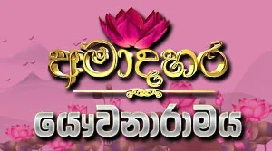 Ama Dahara Yauwanaramaya - 29-07-2026