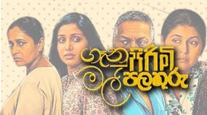 Genu Pirimi Mal Palathu (01) - 22-08-2026
