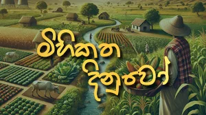 Mihikatha Dinuwo - 17-07-2026